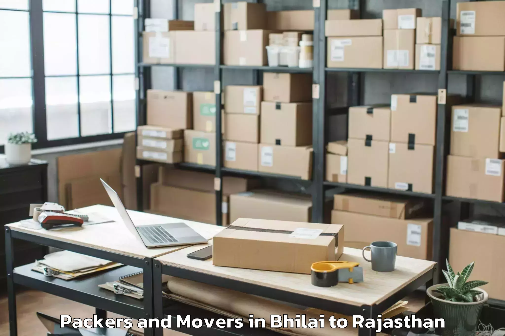 Hassle-Free Bhilai to Udaipurwati Packers And Movers